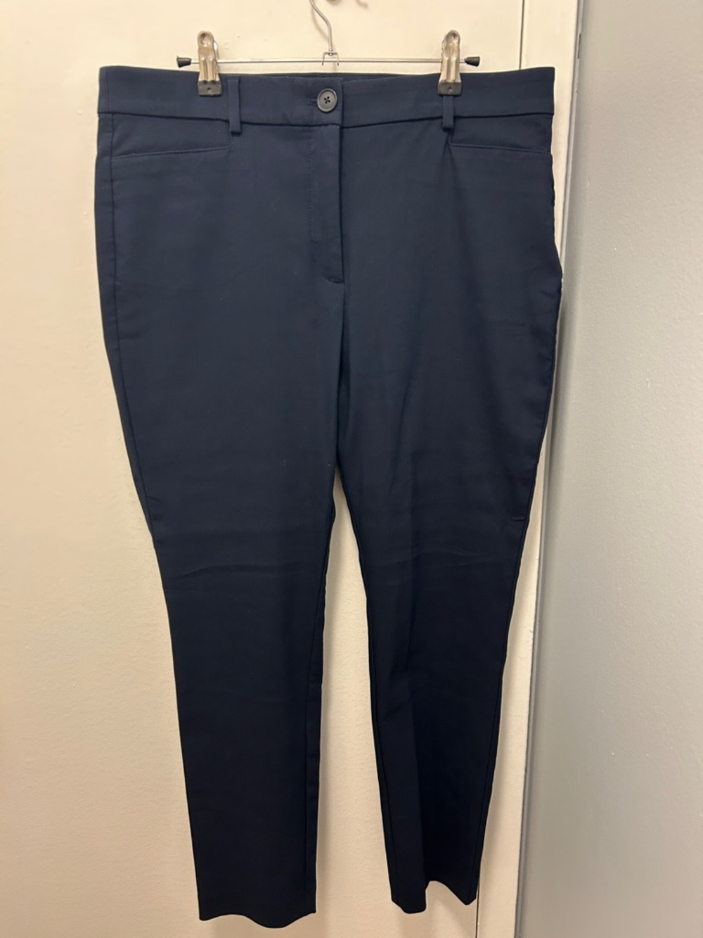 Loft Skinny Pants